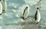 vtípky 4.gif